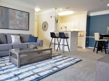 Expansive 9 Foot Ceilings with Triple Crown Molding for a Light, Open Feel at Abberly Grove Apartment Homes by HHHunt, Raleigh, NC, 27610